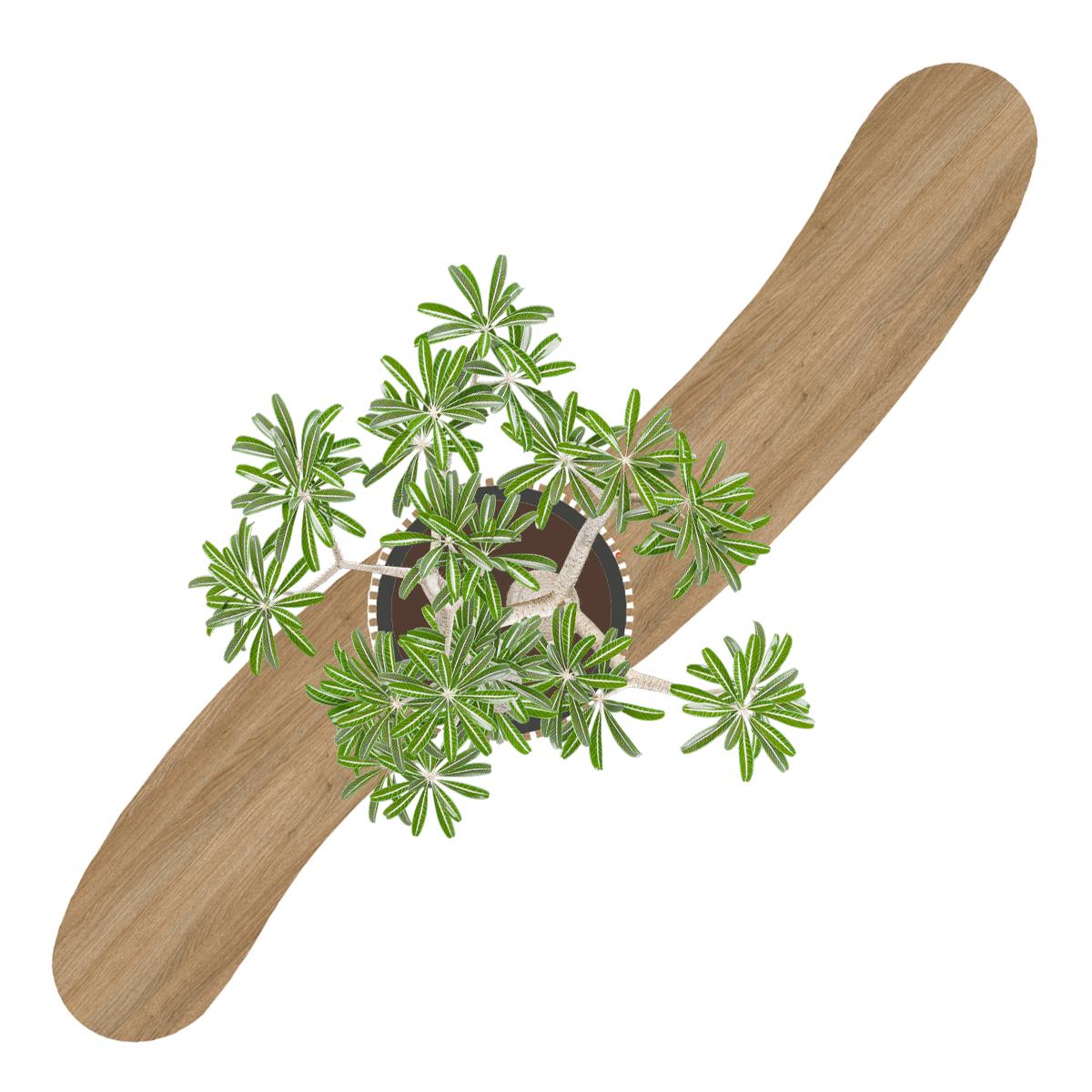 Klopp Seater - Afbeelding 2